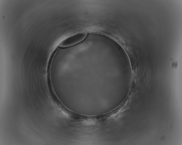 X0000093250196200710031611