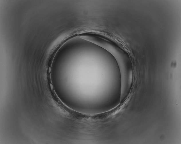 X0000093250197200710031611