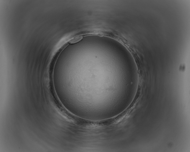 X0000093250198200710031611