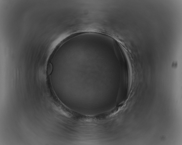 X0000093250200200710031611