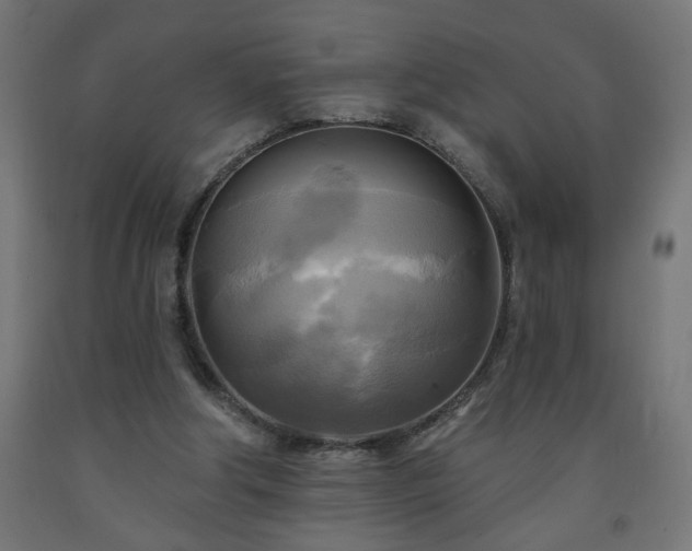 X0000093250202200710031611