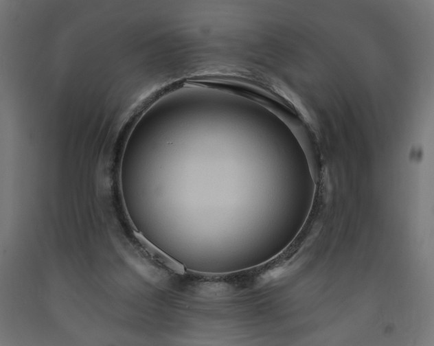 X0000093250203200710031611