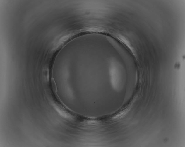 X0000093250205200710031611