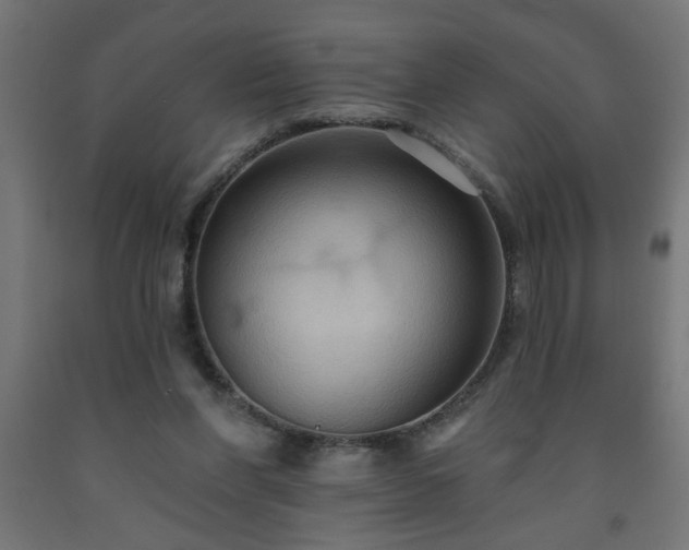 X0000093250206200710031611