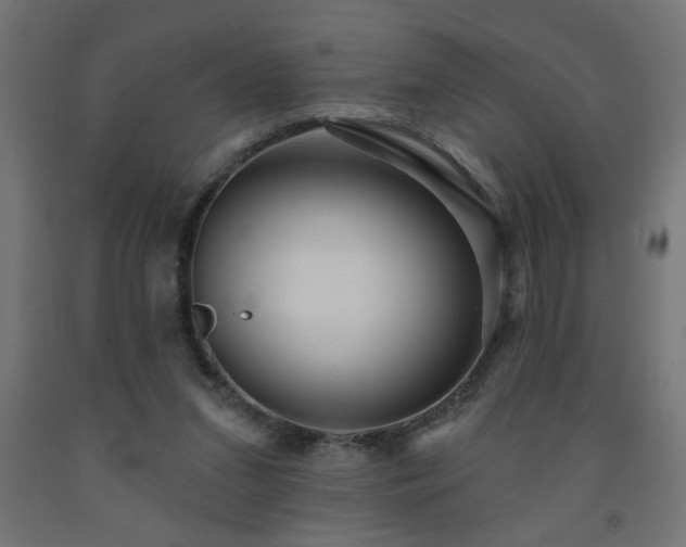 X0000093250207200710031611