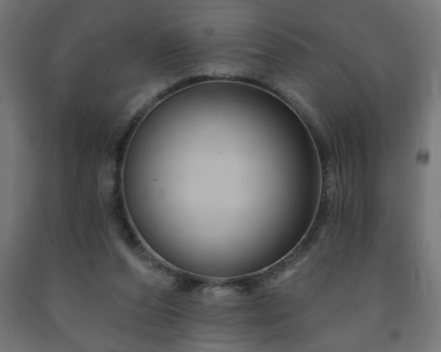 X0000093250208200710031611