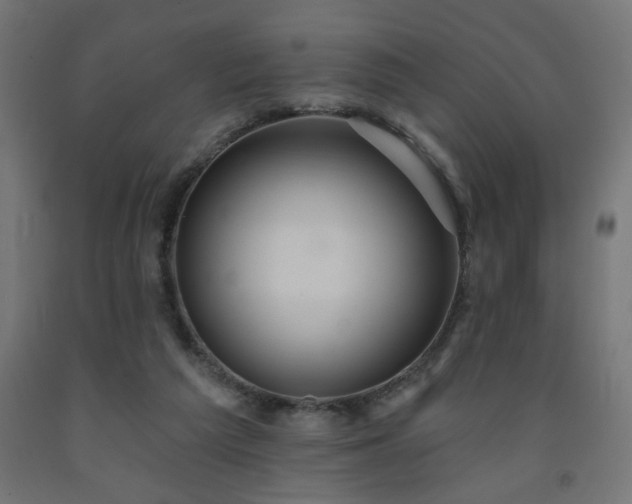 X0000093250209200710031610