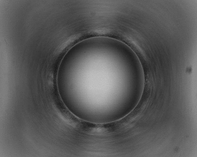 X0000093250212200710031610