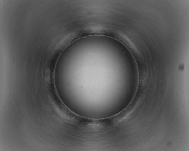 X0000093250213200710031610