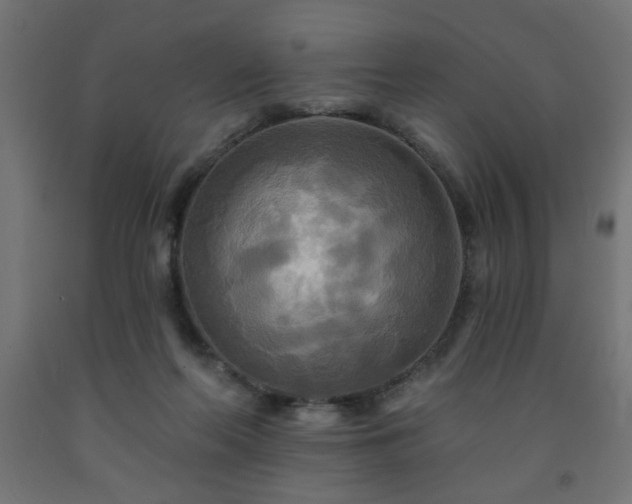 X0000093250214200710031610