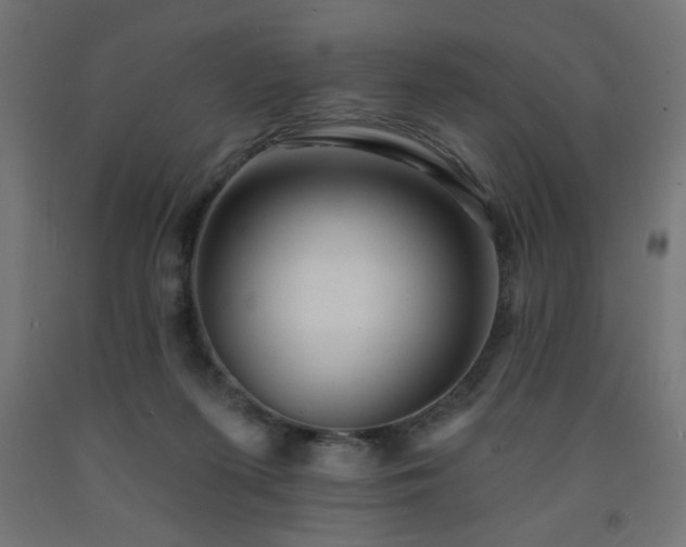 X0000093250215200710031610