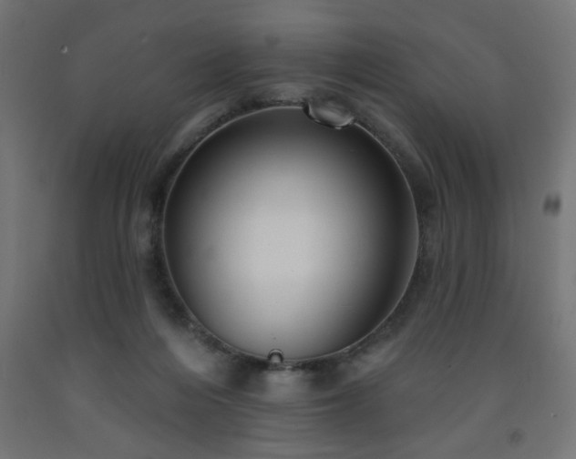 X0000093250216200710031610