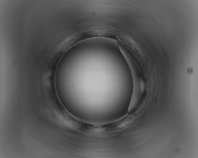 X0000093250217200710031610