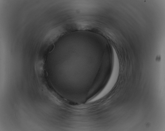 X0000093250219200710031610