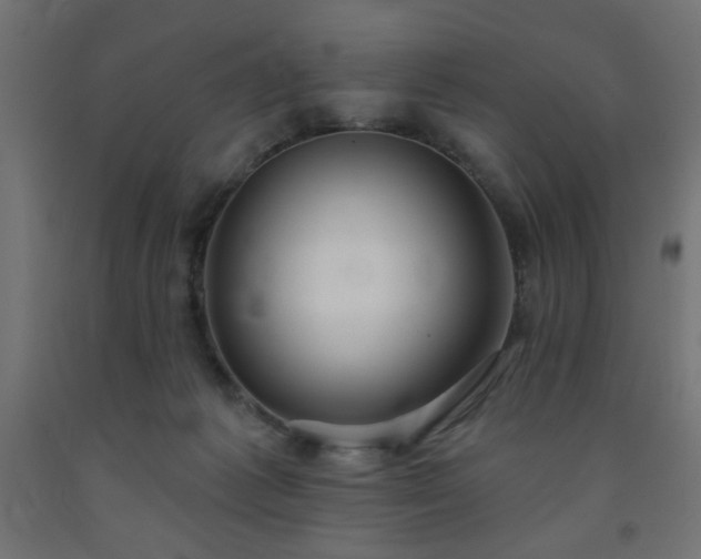 X0000093250221200710031610