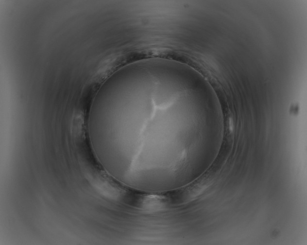 X0000093250222200710031610