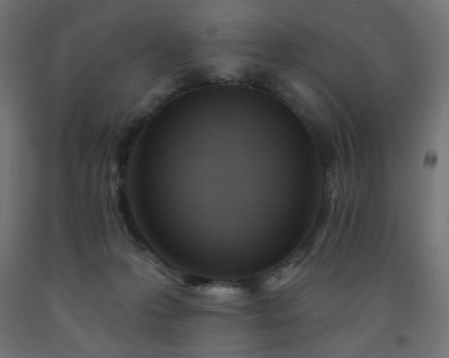 X0000093250223200710031610