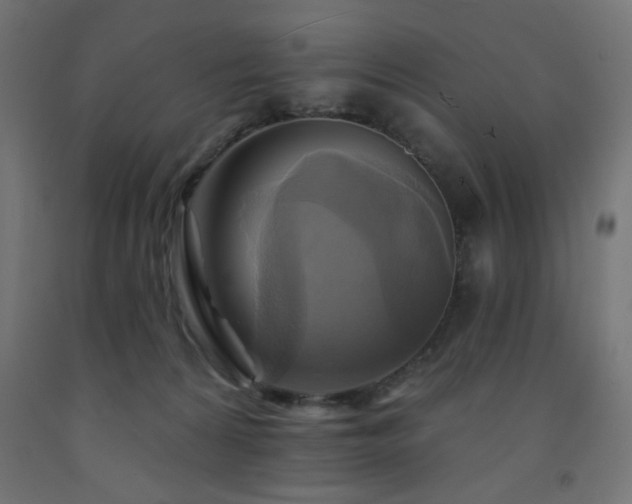 X0000093250224200710031610