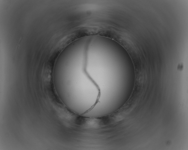 X0000093250226200710031610