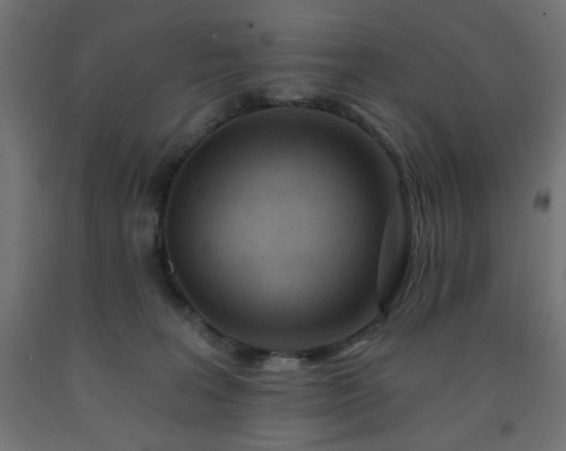 X0000093250227200710031610