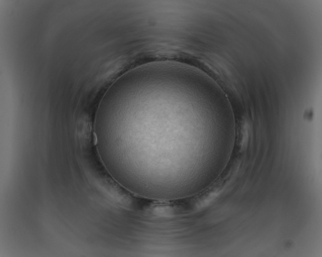 X0000093250228200710031610