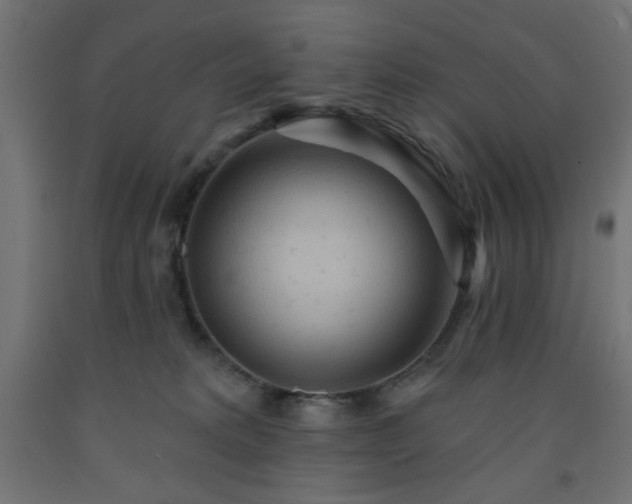 X0000093250229200710031610