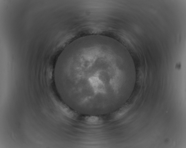 X0000093250230200710031610