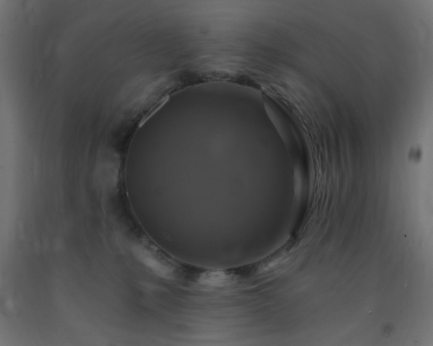 X0000093250231200710031610