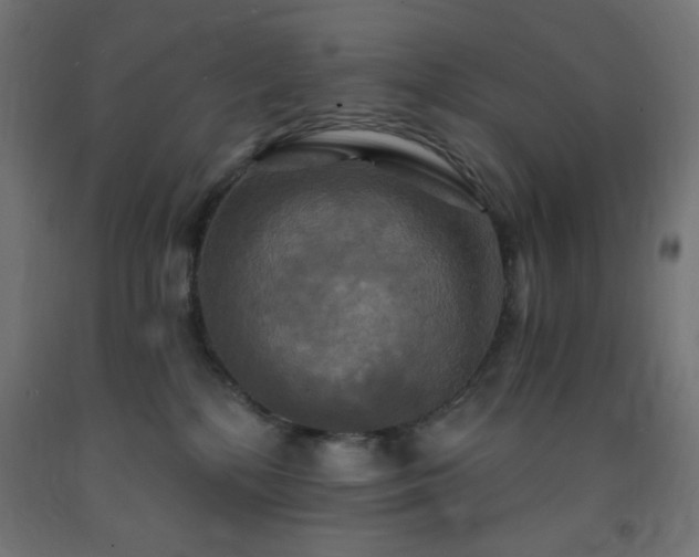 X0000093250232200710031610