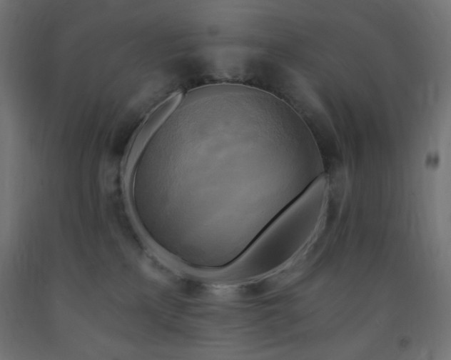 X0000093250233200710031610