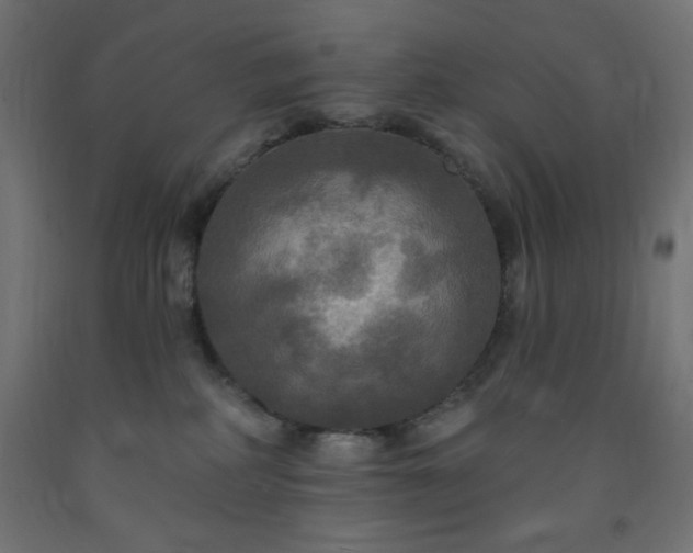 X0000093250234200710031610