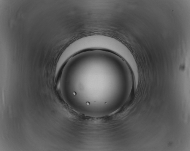 X0000093250235200710031610