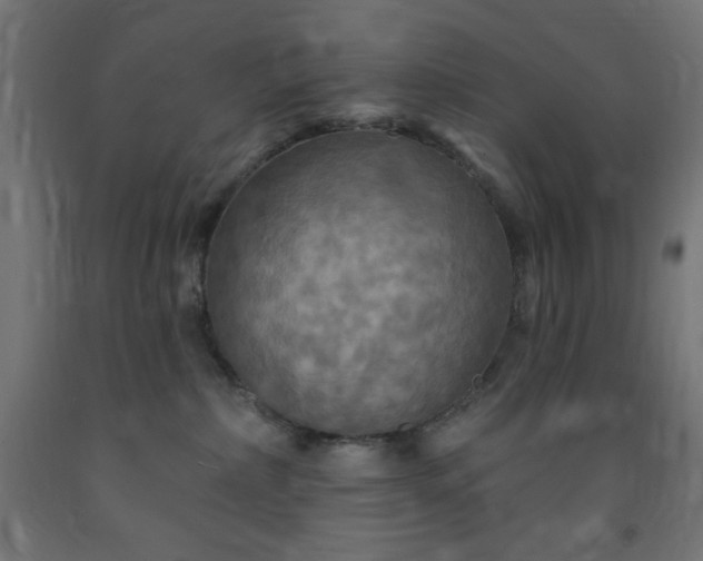 X0000093250236200710031610