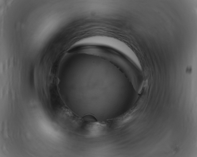 X0000093250239200710031610