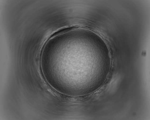 X0000093250241200710031610