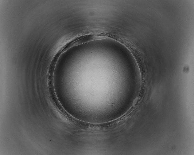 X0000093250242200710031610