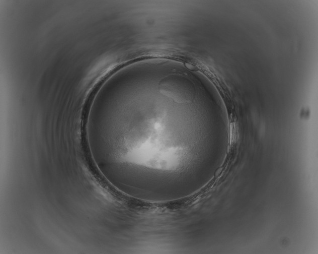 X0000093250243200710031610