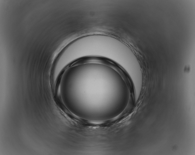 X0000093250244200710031610