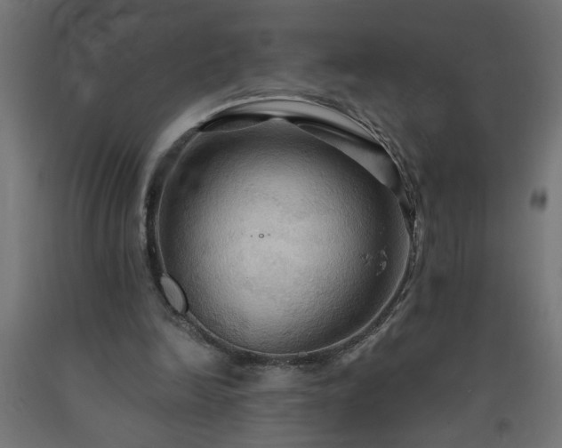 X0000093250246200710031610