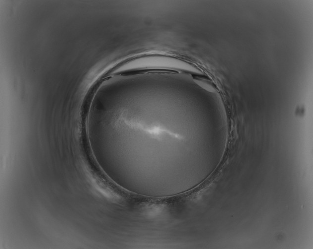 X0000093250247200710031610