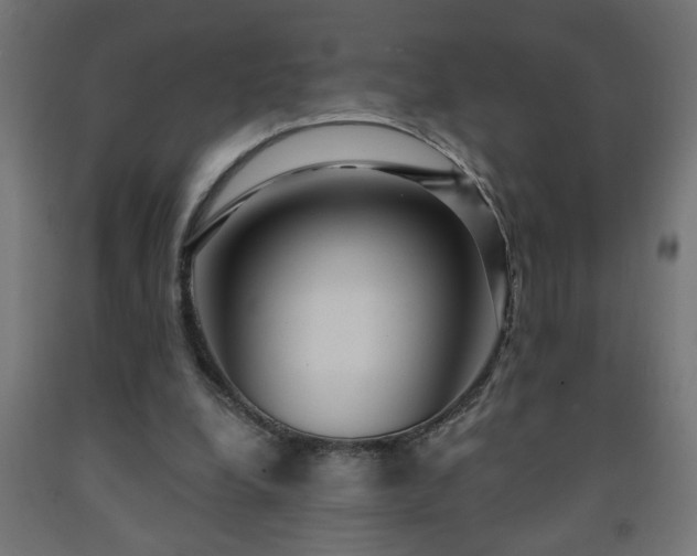 X0000093250248200710031610