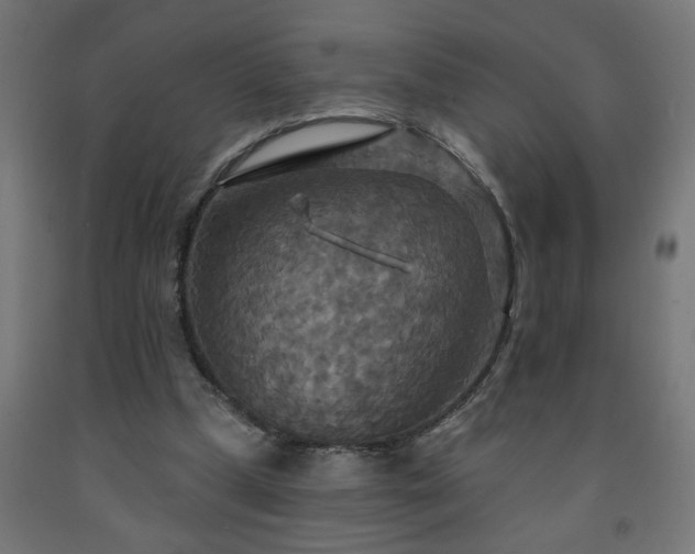 X0000093250249200710031610