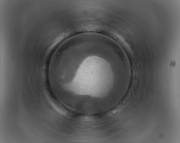 X0000093250250200710031610