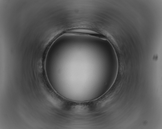 X0000093250251200710031610