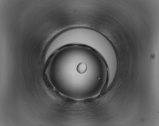 X0000093250252200710031610