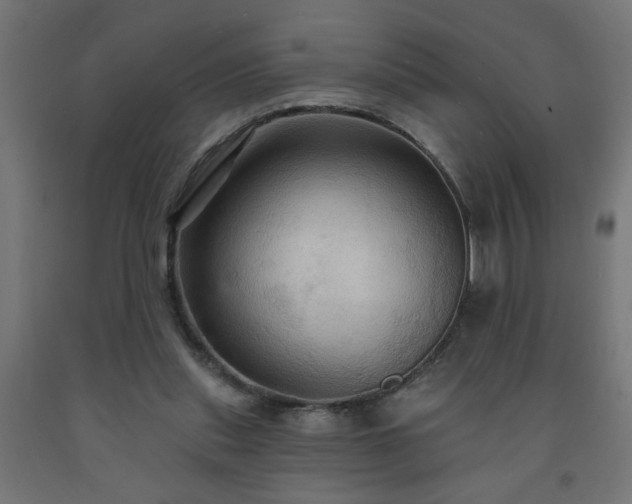 X0000093250253200710031610