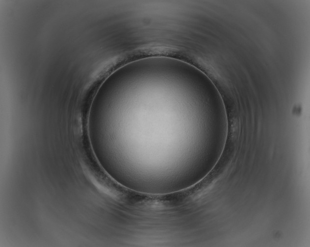 X0000093250254200710031610