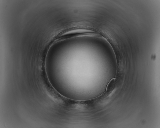 X0000093250255200710031610