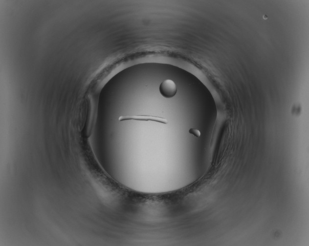 X0000093250256200710031610