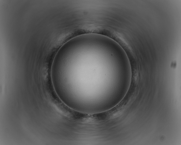 X0000093250259200710031610